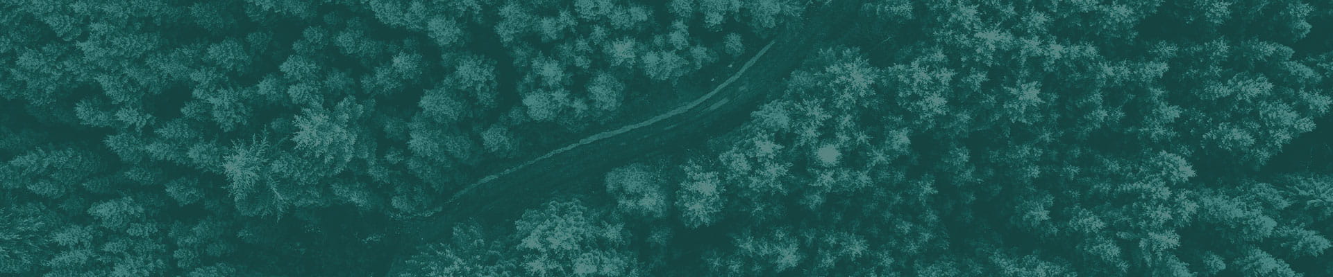 浙江奇达纺织有限公司